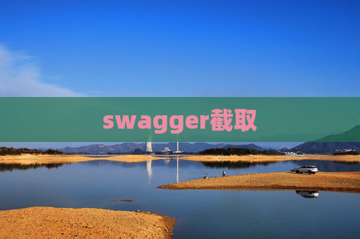 swagger截取